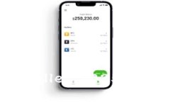 立即观察tpWallet：2025必看