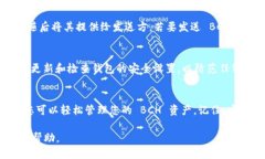 为了将 Bitcoin Cash (BCH) 添加