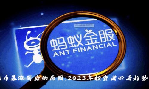 狗狗币暴涨背后的原因：2023年投资者必看趋势分析