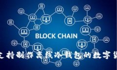 2025必看：支持制作离线冷