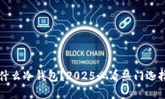 现在用什么冷钱包？2025必