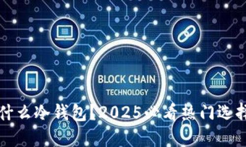 现在用什么冷钱包？2025必看热门选择与指南