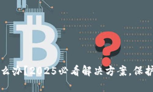 冷钱包丢失怎么办？2025必看解决方案，保护你的数字资产