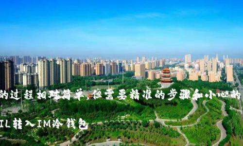 将FIL（Filecoin）转入IM冷钱包的过程相对简单，但需要精准的步骤和小心的操作。以下是详细的步骤和建议：

### 2025必看：如何立即将FIL转入IM冷钱包