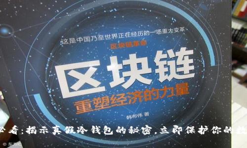 2025必看：揭示真假冷钱包的秘密，立即保护你的数字资产