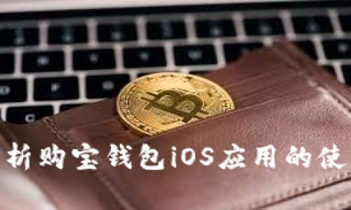 2025必看：全面解析购宝钱包iOS应用的使用技巧与注意事项