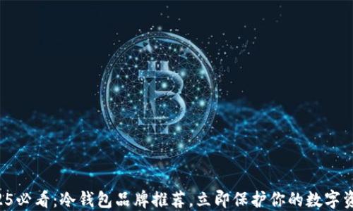
2025必看：冷钱包品牌推荐，立即保护你的数字资产！