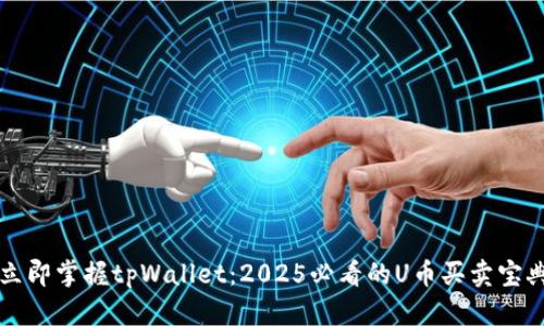 立即掌握tpWallet：2025必看的U币买卖宝典