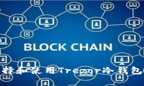 2025必看：如何选择和使用Trezor冷钱包保护你的数字资产