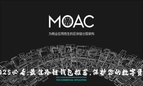 2025必看：最佳冷链钱包推荐，保护你的数字资产