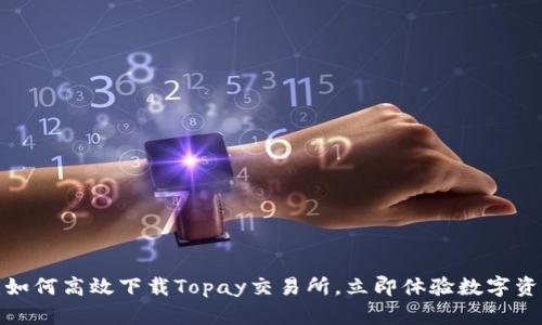 2025必看：如何高效下载Topay交易所，立即体验数字资产交易魅力