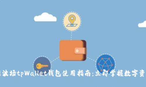 2023年最新波场tpWallet钱包使用指南：立即掌握数字资产管理技巧!