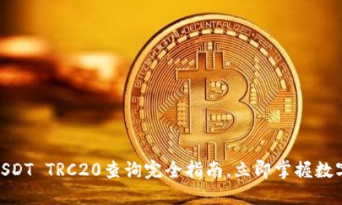 2025必看：USDT TRC20查询完全指南，立即掌握数字资产的秘密