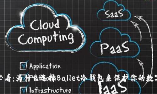 2025必看：为什么选择Ballet冷钱包来保护你的数字资产？