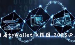 如何查看tpWallet K线图：