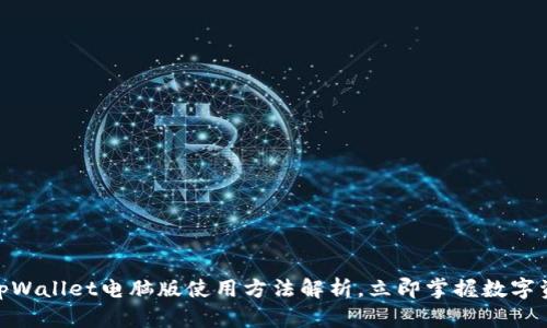 2025必看：tpWallet电脑版使用方法解析，立即掌握数字资产管理技巧