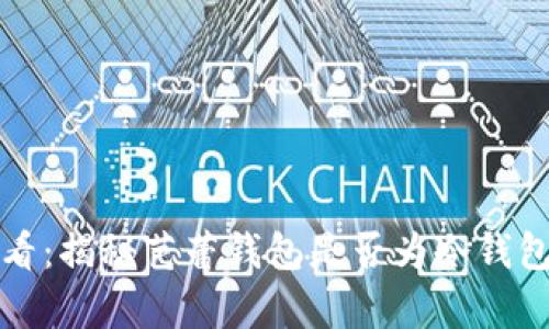 2025必看：揭秘芭蕾钱包是否为冷钱包的真相！