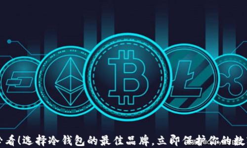 
2025必看！选择冷钱包的最佳品牌，立即保护你的数字资产！
