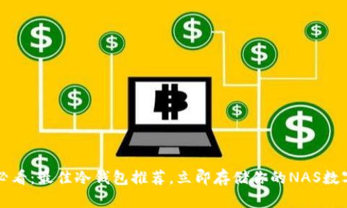 2025必看：最佳冷钱包推荐，立即存储你的NAS数字资产！