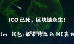 Tokenim 钱包：能否修改私钥
