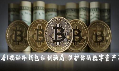 2025必看！揭秘冷钱包私钥骗局：保护你的数字资产不再是梦