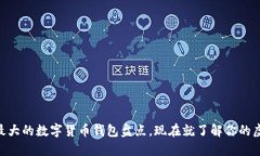 2025必看：全球最大的数字