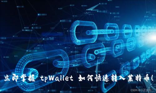 立即掌握 tpWallet 如何快速转入莱特币！