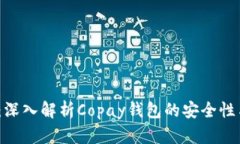 2025必看：深入解析Copay钱包的安全性与使用技巧