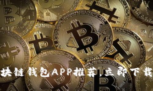 2025必看：最佳区块链钱包APP推荐，立即下载体验安全便捷交易