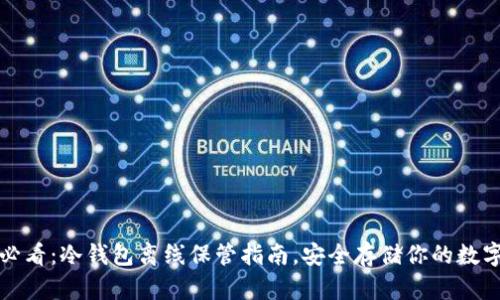 2025必看：冷钱包离线保管指南，安全存储你的数字资产！