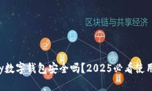 topay数字钱包安全吗？2025必看使用指南