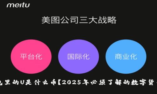 冷钱包里的U是什么币？2025年必须了解的数字货币资产