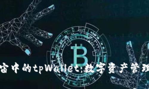 探索元宇宙中的tpWallet：数字资产管理的新境界