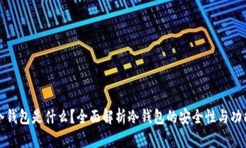冷钱包是什么？全面解析冷钱包的安全性与功能