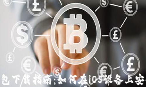 
BSC钱包下载指南：如何在iOS设备上安全安装