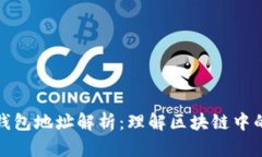 tpWallet钱包地址解析：理解