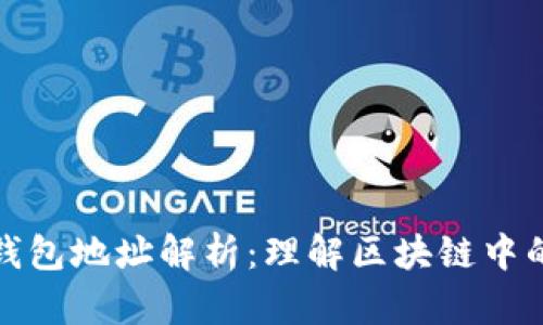 tpWallet钱包地址解析：理解区块链中的地址概念