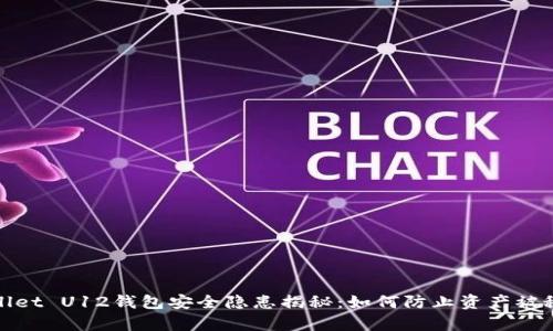 tpWallet U12钱包安全隐患揭秘：如何防止资产被秒转走