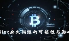 tpWallet永久销毁的可能性与影响分析