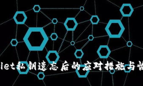 TP Wallet私钥遗忘后的应对措施与恢复指南