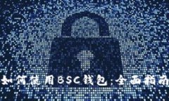 如何使用BSC钱包：全面指