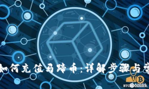 小狐狸钱包如何充值马蹄币：详解步骤与常见问题解答