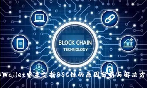 tpWallet中未支持BSC链的原因分析与解决方案