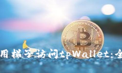 如何使用梯子访问tpWallet：全面指南