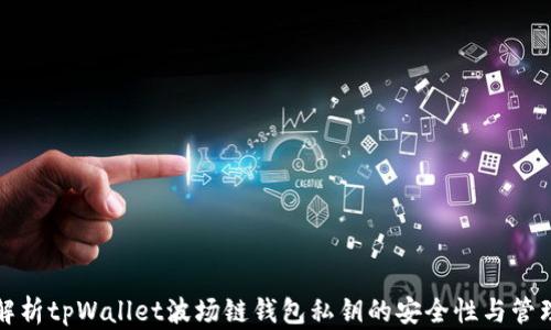 全面解析tpWallet波场链钱包私钥的安全性与管理技巧