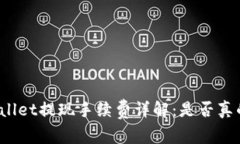 tpWallet提现手续费详解：是否真的贵？