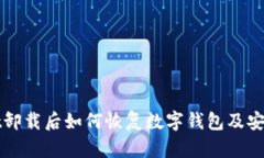 tpWallet卸载后如何恢复数字钱包及安全性解析