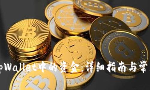 如何提取tpWallet中的资金：详细指南与常见问题解析