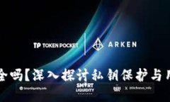 tpWallet安全吗？深入探讨私