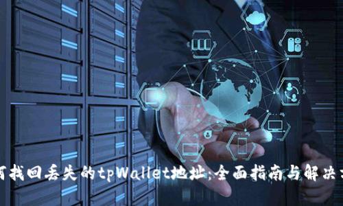如何找回丢失的tpWallet地址：全面指南与解决方案